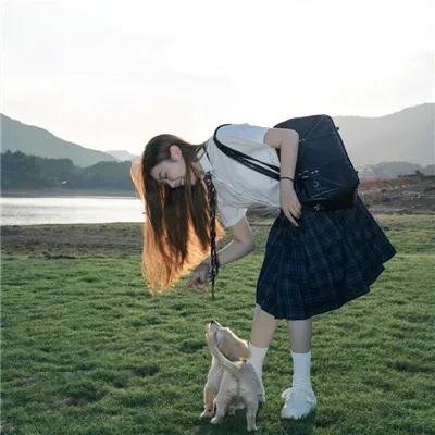 ST 红白的搜查档案